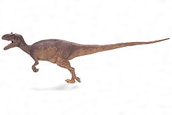 アロサウルスの復元模型