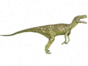 ヘレラサウルスの復元模型