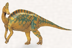 ヒパクロサウルスの復元模型