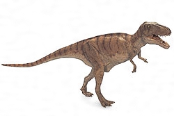 タルボサウルスの復元模型