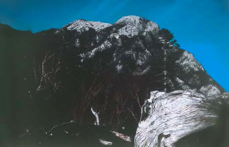 写真：甲斐駒ヶ岳と摩利支天