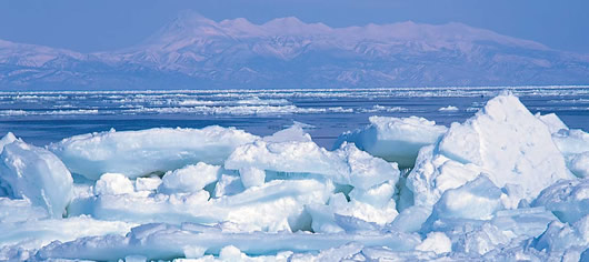 写真：流氷の海