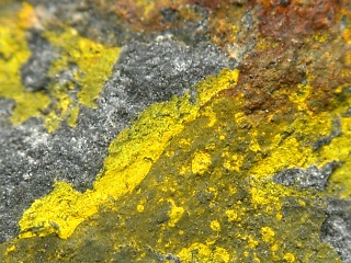 硫カドミウム鉱