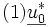 (1) \underline{u_0^*}\, 