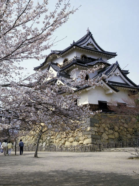 彦根城の画像