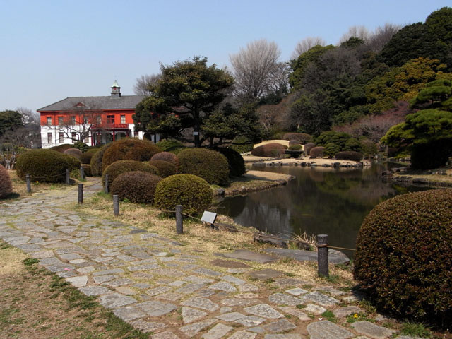 小石川植物園の画像