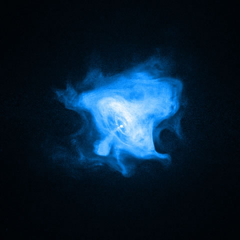 蟹星雲の画像