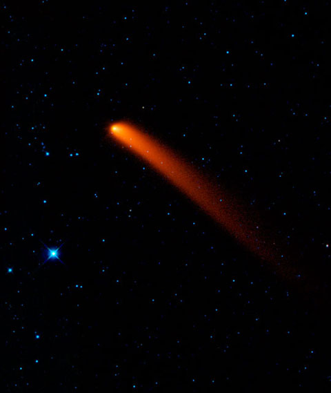 彗星の画像