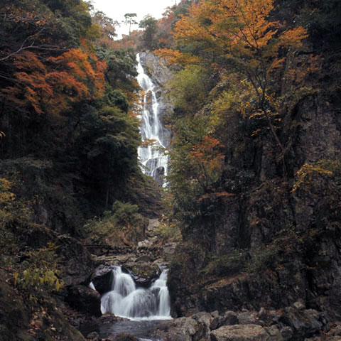 神庭の滝の画像