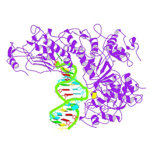 鉄制御タンパク質 I