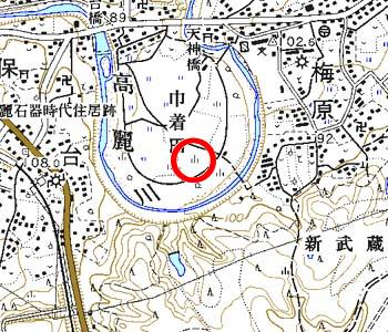 埼玉県日高市周辺の地形図