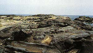 岩の画像１