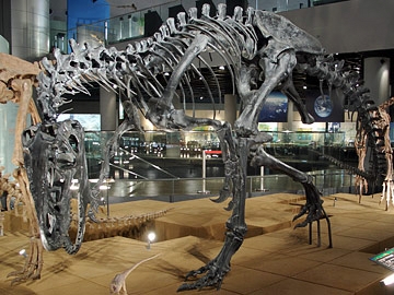 アロサウルスの全身骨格