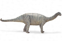 ベルサウルスの復元模型