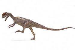 ディロフォサウルスの復元模型