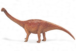 クンミンゴサウルスの復元模型