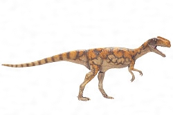 モノロフォサウルスの復元模型