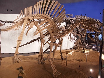 オウラノサウルス・ニジェリエンシス