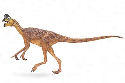 オビラプトルの一種はどんな恐竜 Weblio辞書