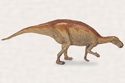 プロバクトロサウルスの一種