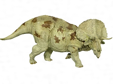 トリケラトプスの復元模型