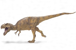 ティラノサウルスの復元模型