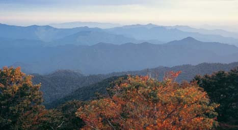 写真：大台ヶ原から望む大峰山脈