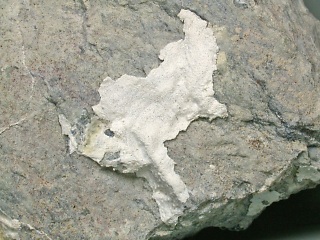 パリゴルスキー石