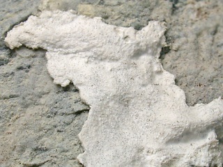 パリゴルスキー石