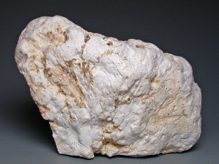 セピオ石