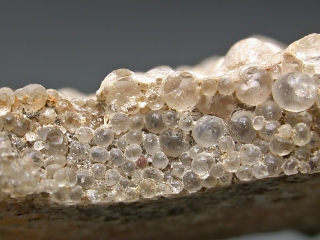魚卵状珪石