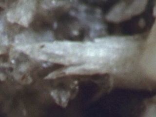 ストロンチアン石
