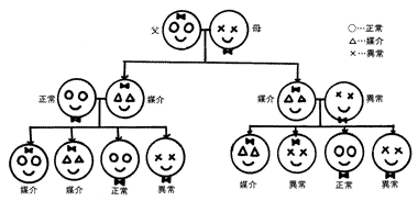 色覚異常色盲とは何 Weblio辞書