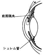 房水と眼圧