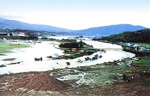 昭和50年８月洪水尻別川左岸蘭越地区