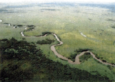 湿原内を蛇行し流れる釧路川