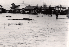 昭和35年3月洪水（標茶町）