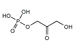 ジヒドロキシアセトンリン酸とは？ わかりやすく解説
