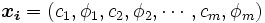 \boldsymbol{x_i} = (c_1, \phi_1, c_2, \phi_2, \cdots, c_m, \phi_m)\, 