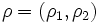 \rho = (\rho_1,\rho_2)\,