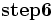 \mathbf{step6}\, 