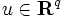 u\in \mathbf{R}^q