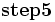 \mathbf{step5}\, 