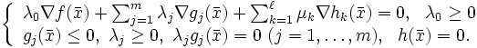 \left\{\begin{array}{l}
\lambda_0\nabla f(\bar{x})+\sum_{j=1}^m\lambda_j\nabla g_j(\bar{x})+
\sum_{k=1}^{\ell}\mu_k\nabla h_k(\bar{x})=0,\ \ \lambda_0\geq 0 \\ 
g_j(\bar{x})\leq 0,\ \lambda_j\geq 0,\ \lambda_jg_j(\bar{x})=0\ 
(j=1,\dots,m), 
\ \ h(\bar{x})=0. 
\end{array}\right.