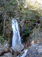 楊梅の滝