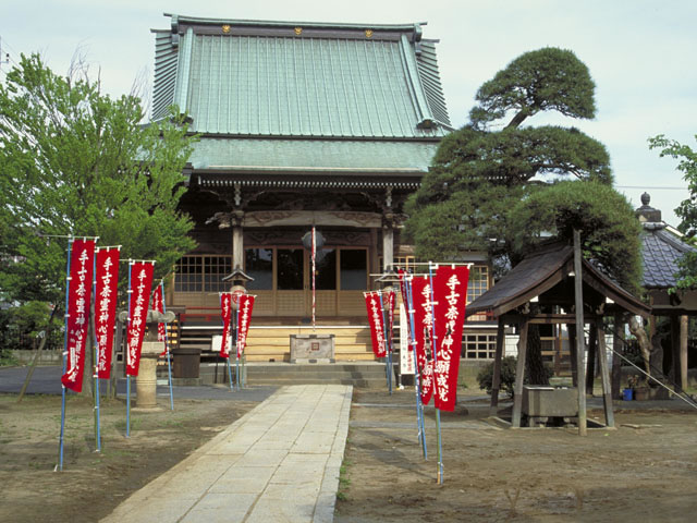 真間手児奈の画像