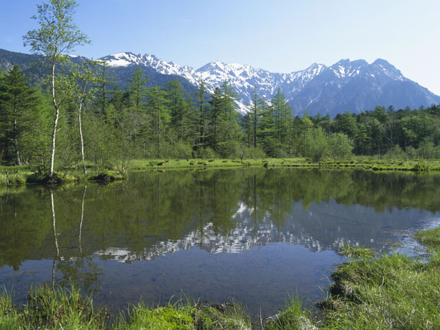 大正池の画像