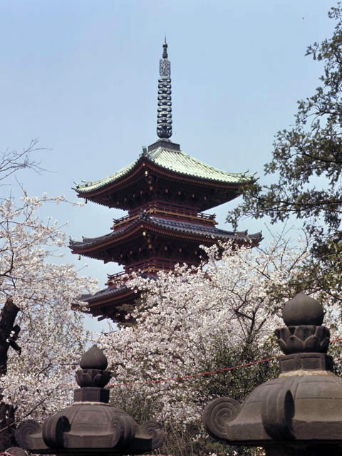 寛永寺の画像
