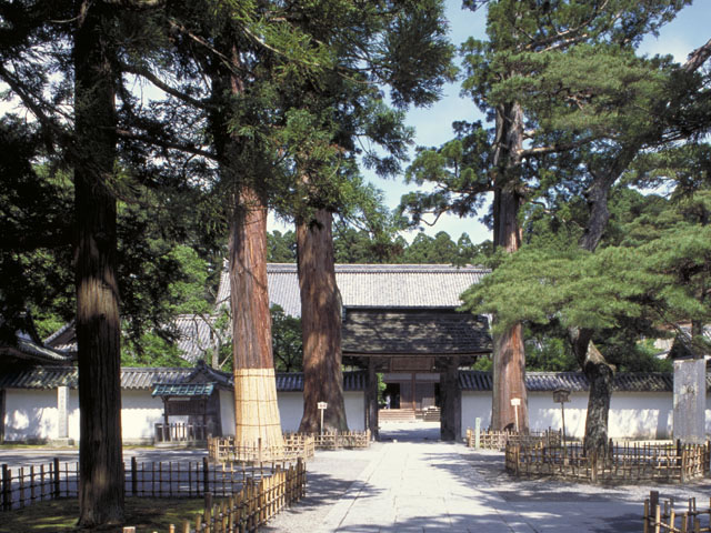 瑞巌寺の画像