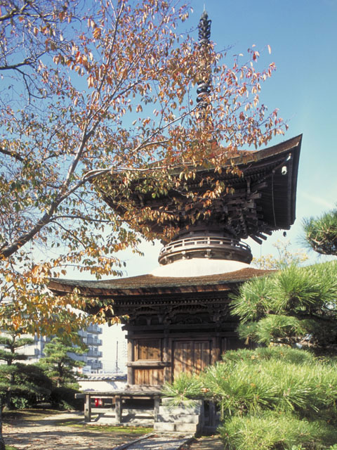 大樹寺の画像